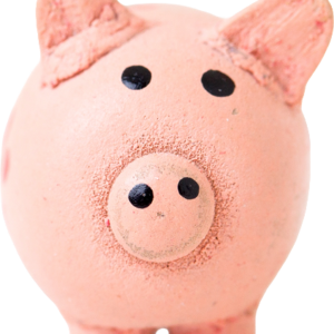 Piggy Bank Toy