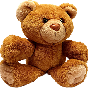 Teddy Bears